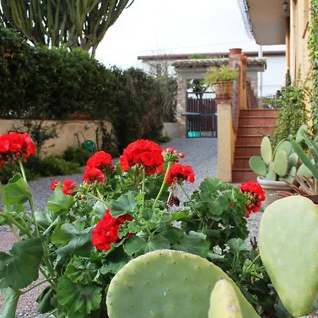 Bed & Breakfast Olimpo Le Torri 2*