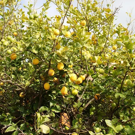 Olimpo Le Torri Alojamento de Acomodação e Pequeno-almoço