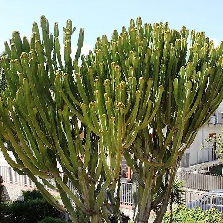Alojamento de Acomodação e Pequeno-almoço Olimpo Le Torri Agrigento