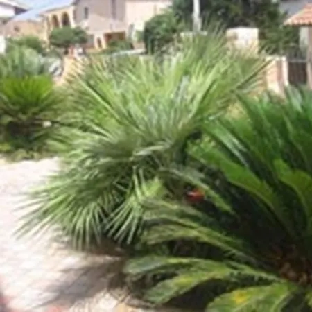 Olimpo Le Torri Agrigento