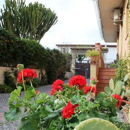 Olimpo Le Torri